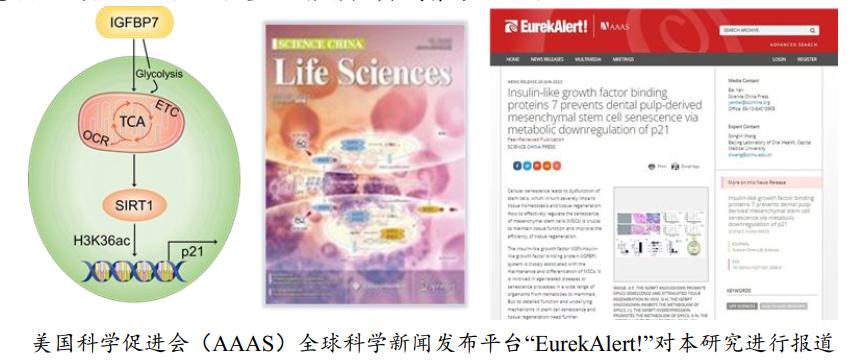 图片15.jpg