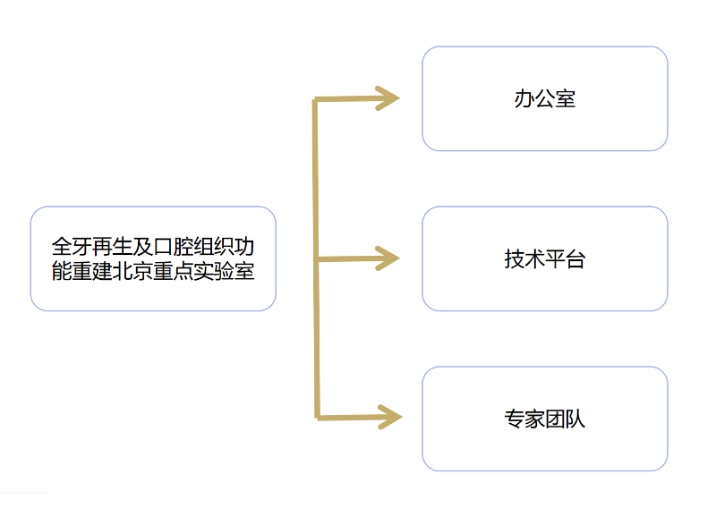 组织架构